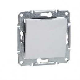 Schneider tapa ciega blanco SDN5600121