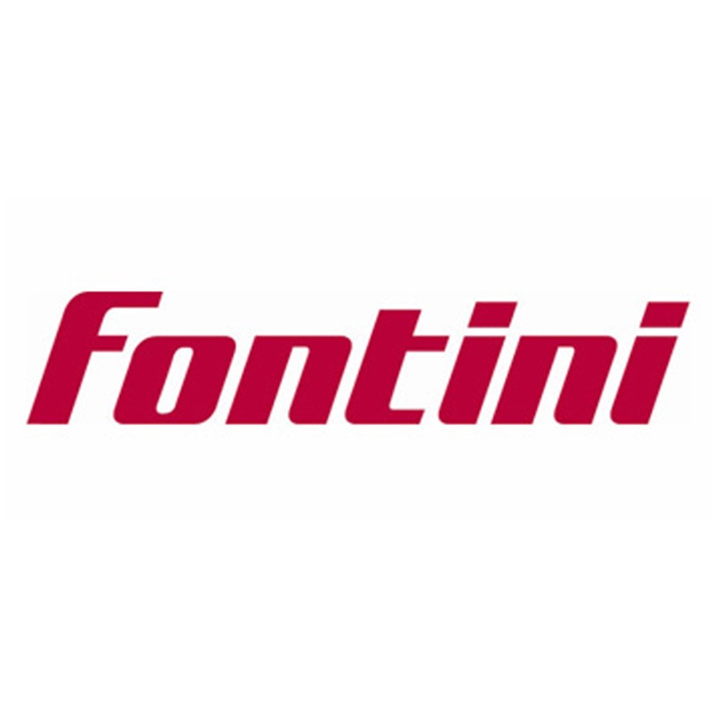 FONTINI